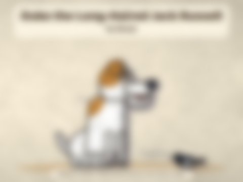 Portada de Duke, el Jack Russell Peludo