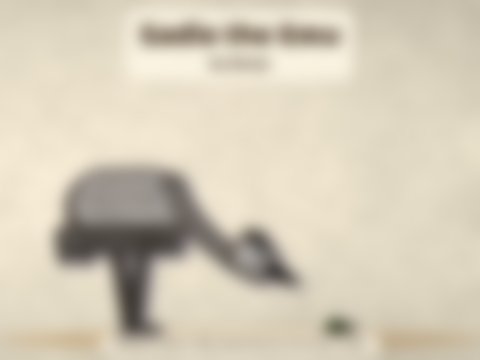 Portada de Sadie, la Emú